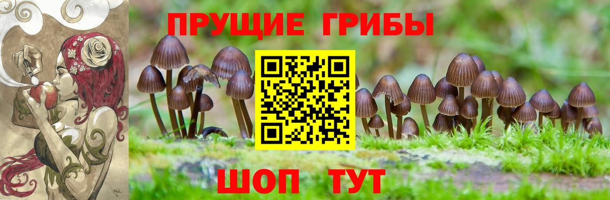 Галлюциногенные грибы Cubensis  Вход с VPN  магазин продажи наркотиков  Холмск 
